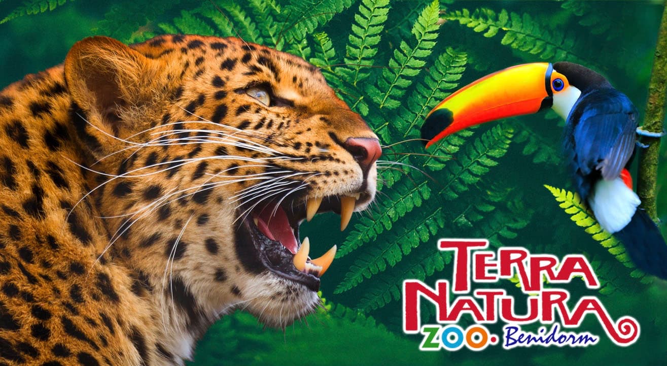 TERRA NATURA (Benidorm Zoo) – Tuesday